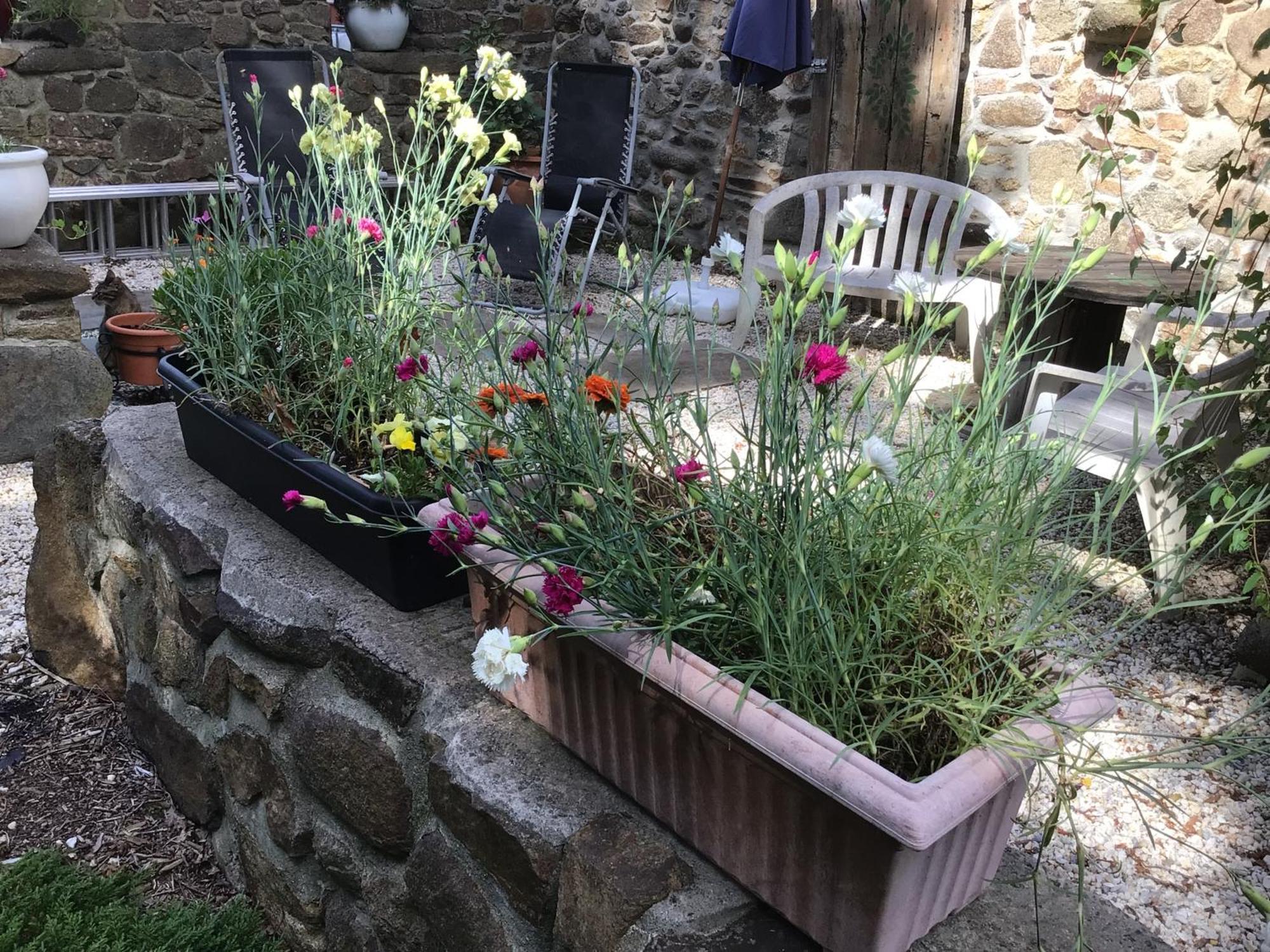 Spacious, Rustic Studio Space For 2 Persons Saint-Cyr-du-Bailleul 外观 照片